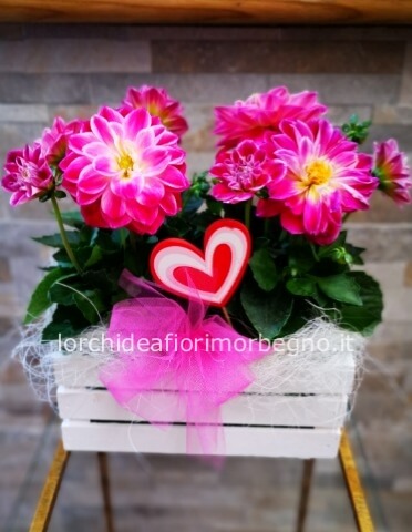 Cassettina con fiori estivi