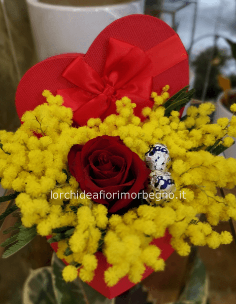 Flowerbox con mimosa rosa rossa e baci