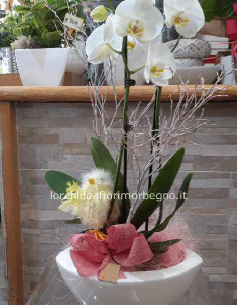 ORCHIDEA CON CERAMICA